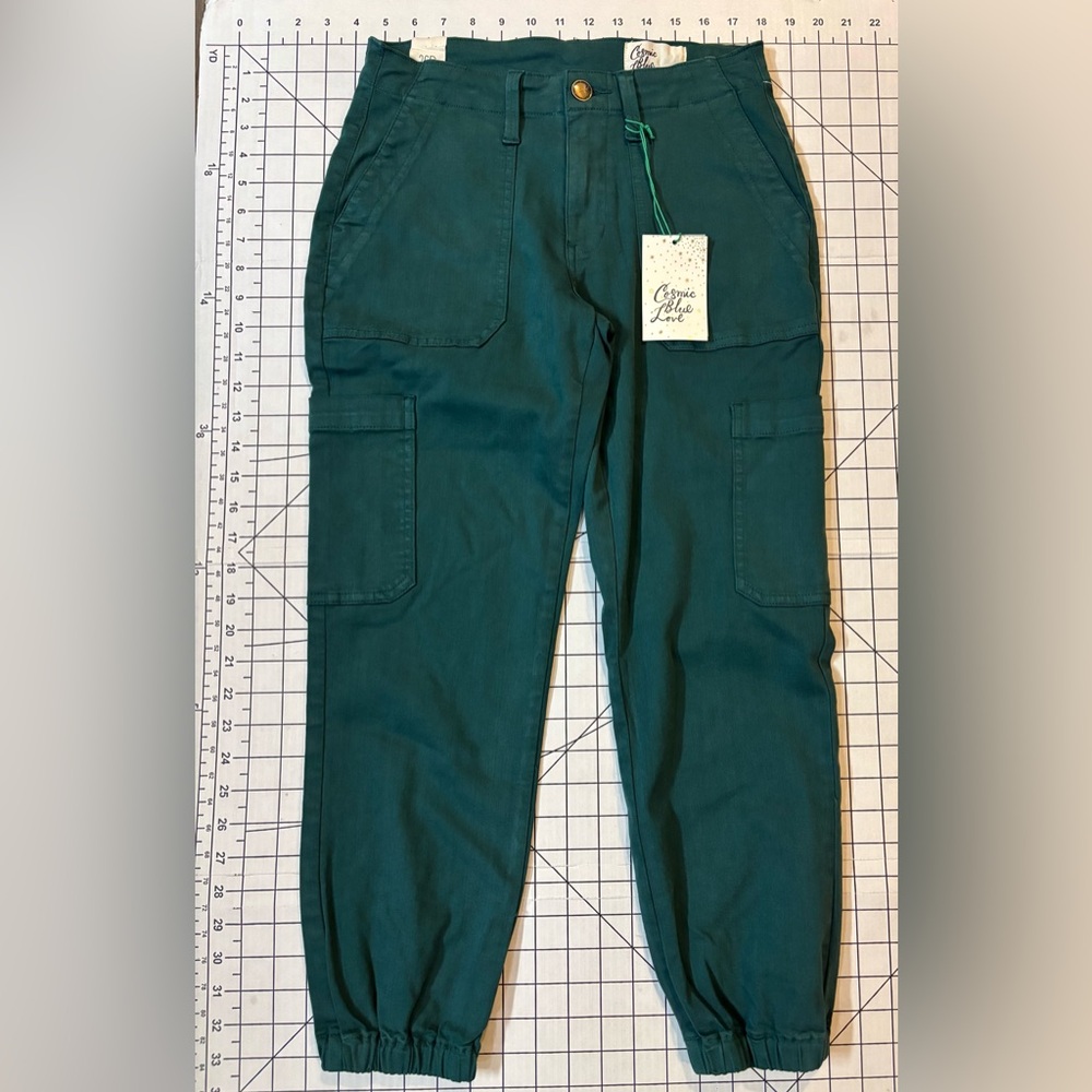 NWT Cosmic Blue Love by Pistola Women’s Size 26P Mediterranean Juno Cargo Pants